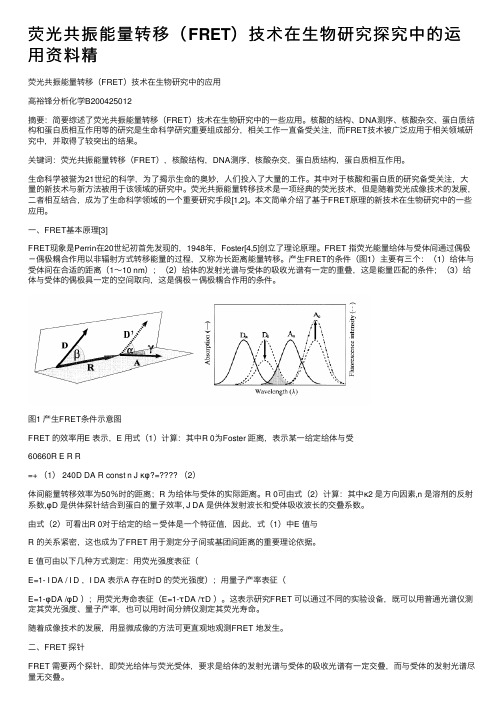 荧光共振能量转移（FRET）技术在生物研究探究中的运用资料精