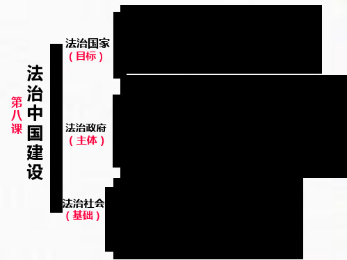 统编版高中政治《政治与法治》优秀PPT2