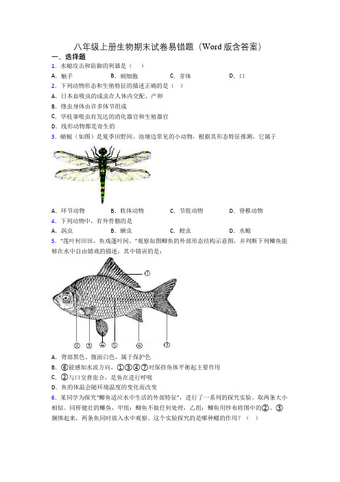 八年级上册生物期末试卷易错题(Word版含答案)[103]