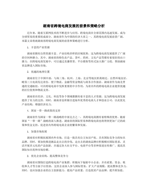 湖南省跨境电商发展的前景和策略分析