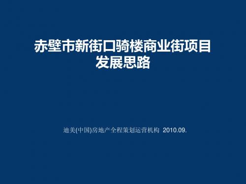 赤壁..新街口项目发展思路0903