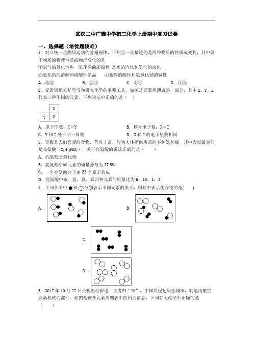 武汉二中广雅中学初三化学上册期中复习试卷