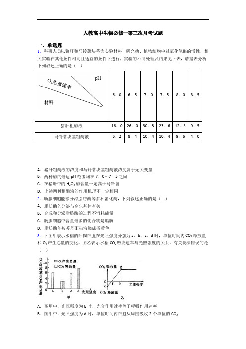 人教高中生物必修一第三次月考试题