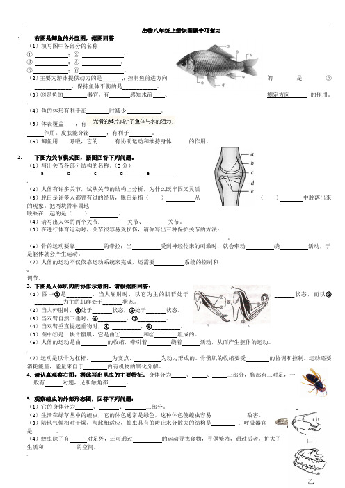 生物八年级上册识图作答专项复习