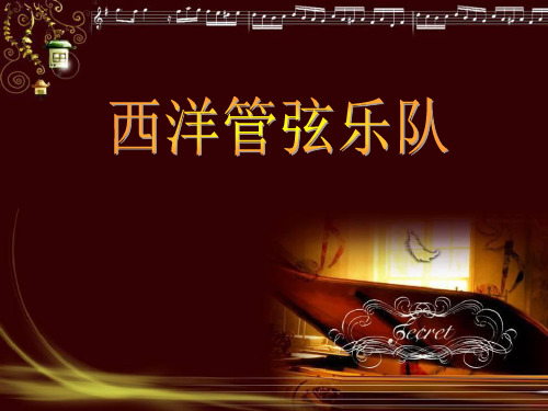 七年级音乐下册 第4单元《西洋管弦乐队简介》课件2 花城版