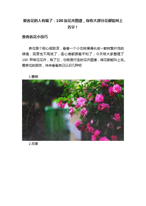 爱养花的人有福了：100款花卉图谱，保你大部分花都能叫上名字！