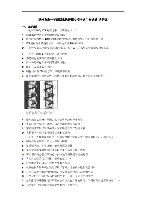 扬州市高一年级期末选择题专项考试生物试卷 含答案