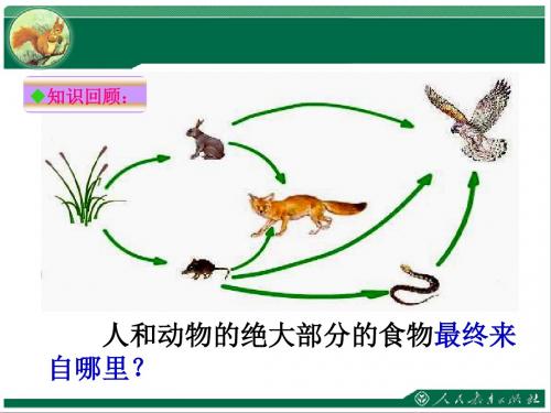 七年级生物上册 第三单元 第四章 绿色植物是生物圈中有机物的制造者(1~2课时)