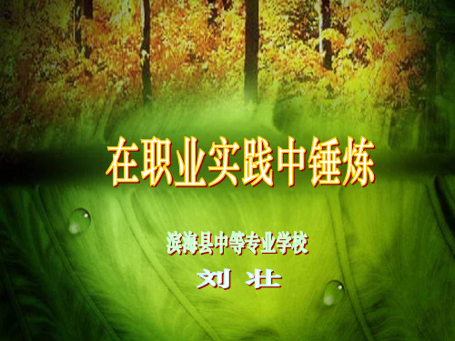 在职业实践中锤炼说课稿