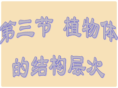 七年级生物上册 2.2.3 植物体的结构层次课件1 (新版)