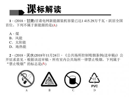 中考化学 第1篇 考点聚焦 第13讲 燃料及其利用