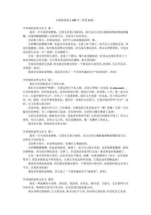 小狗的说明文300字(优秀9篇)