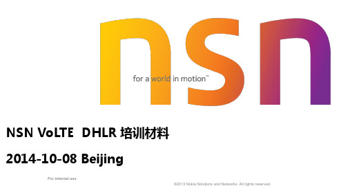 NSN 分布式HLR基础