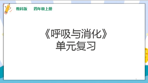 最新教科版四年级上册科学第二单元《呼吸与消化单元复习》精品教学课件