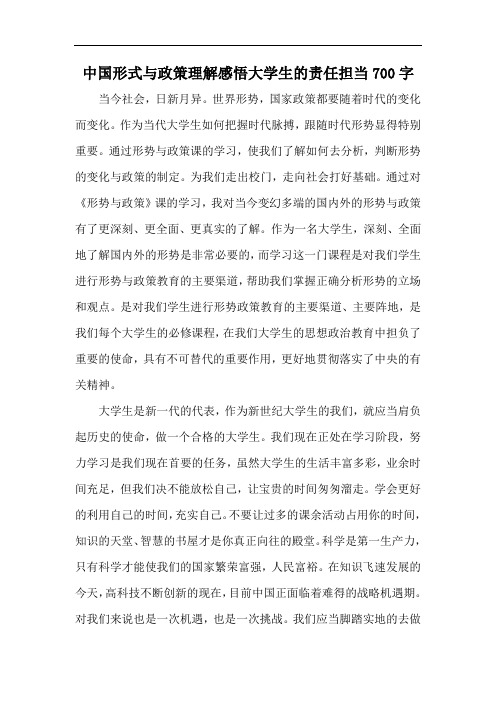 中国形式与政策理解感悟大学生的责任担当700字