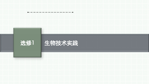选修1生物技术实践课件-广东高考二轮复习生物