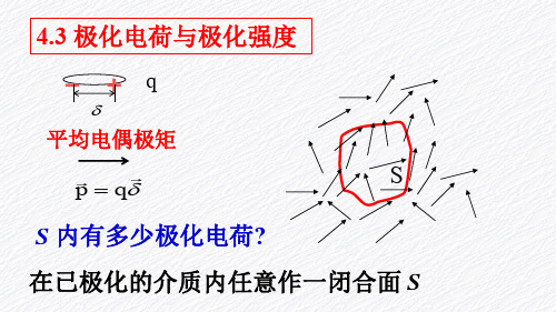 4.3极化电荷