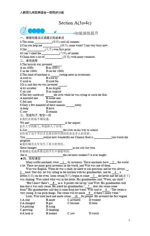 九年级全一册英语同步练习Unit 6 Section A(3a-4c)(含答案)