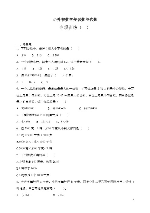 2019-2020学年小升初数学知识数与代数专项训练(一).docx