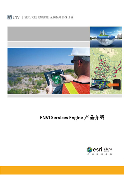 ENVI Services Engine5.2产品白皮书_201501