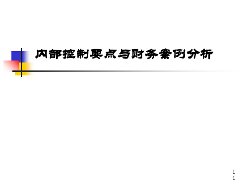 内部控制要点与财务案例分析(PPT 66张)