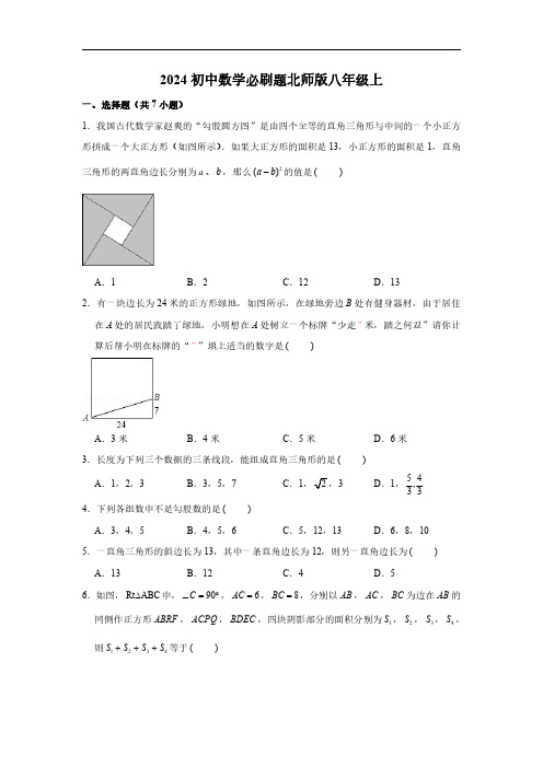 2024初中数学必刷题北师版八年级上