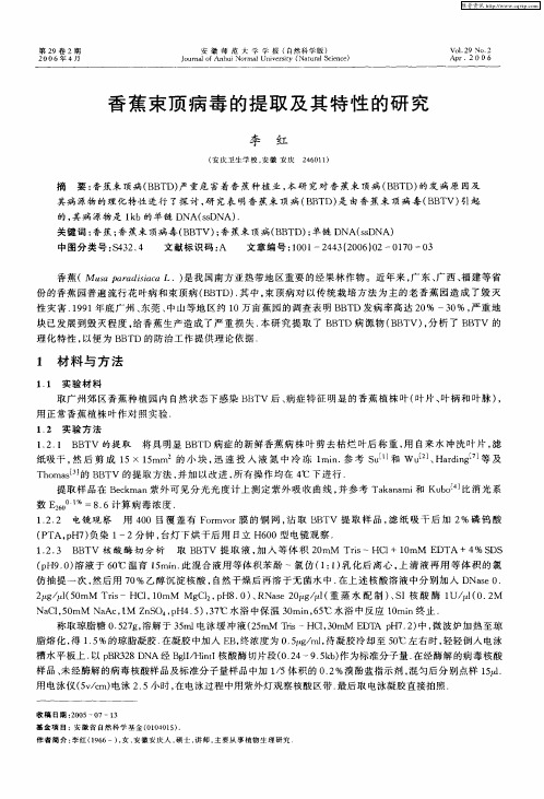 香蕉束顶病毒的提取及其特性的研究