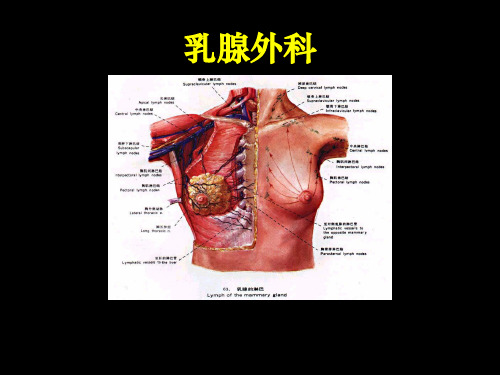 乳腺外科护理-文档资料