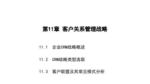 客户关系管理 第11章 客户关系管理战略