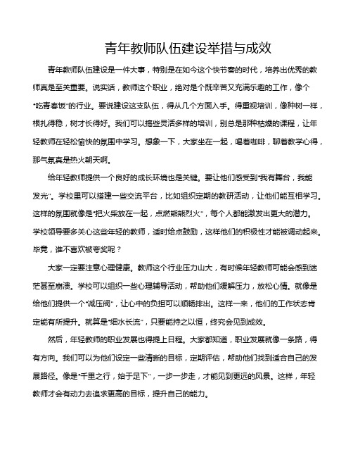 青年教师队伍建设举措与成效