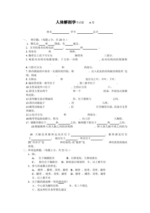 人体解剖学考试题    A卷