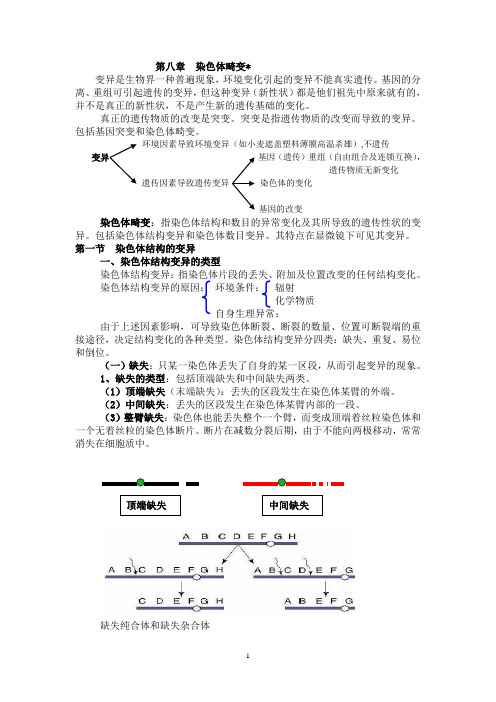 第八章 染色体畸变