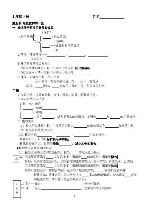 苏教版生物七年级上册第5章填空测试