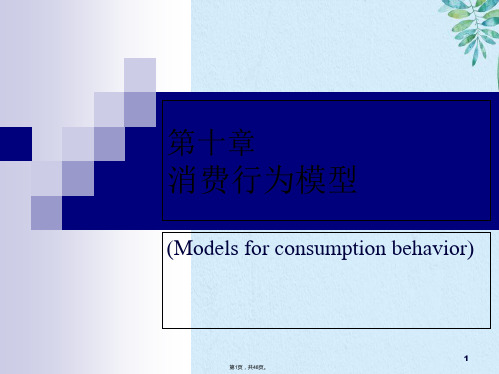 高级计量经济学消费行为模型(共48张PPT)