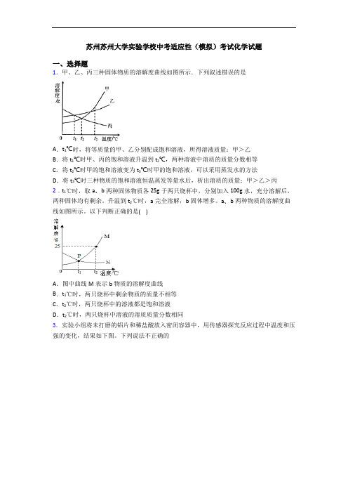 苏州苏州大学实验学校中考适应性(模拟)考试化学试题