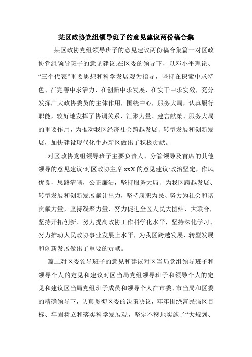 某区政协党组领导班子的意见建议两份稿合集.doc