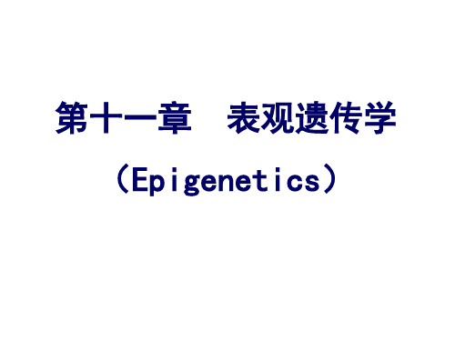 第十一章-表观遗传学