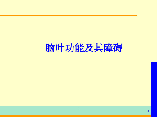 脑叶功能及其障碍ppt课件