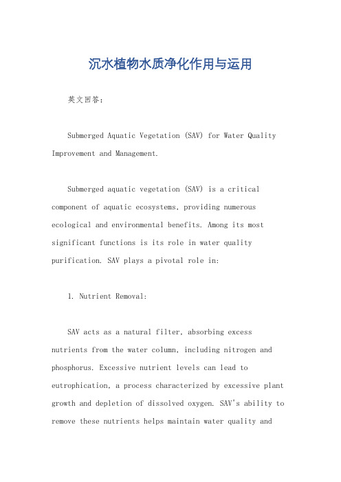 沉水植物水质净化作用与运用