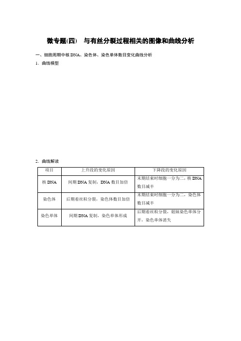 新教材高中生物必修一第6章 微专题(四) 与有丝分裂过程相关的图像和曲线分析