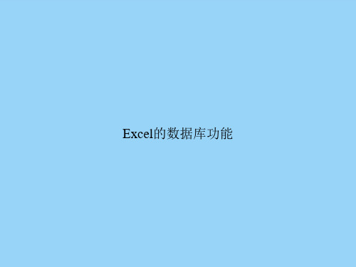 Excel的数据库功能