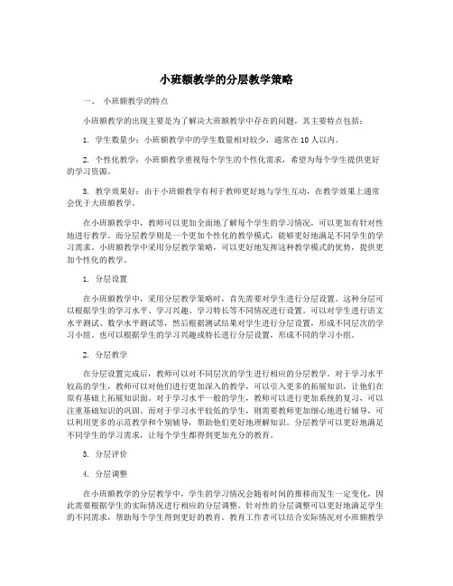 小班额教学的分层教学策略