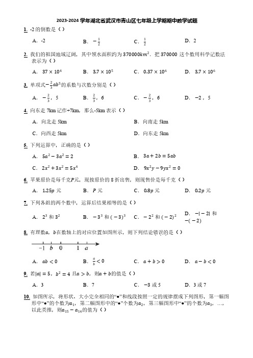 2023-2024学年湖北省武汉市青山区七年级上学期期中数学试题