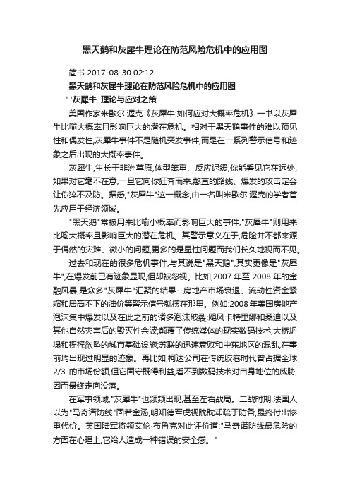 黑天鹅和灰犀牛理论在防范风险危机中的应用图