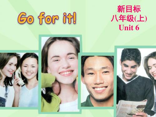 Unit 6 I’m more outgoing than my sisiter.全单元课件-4