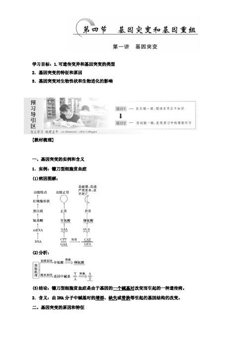 高一生物苏教版必修二教学案：第四章第四节第一讲基因突变