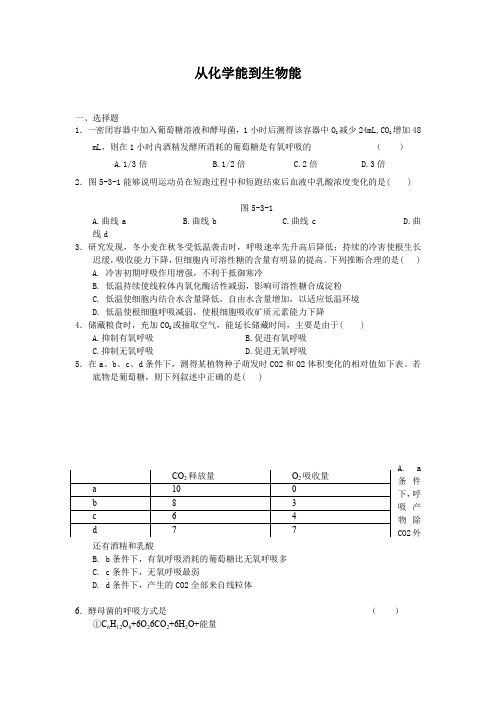 3.2.4从化学能到生物能每课一练28(中图版必修1)