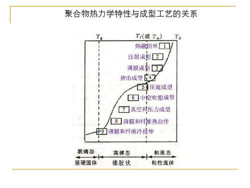 高分子工艺：第十章 聚合物加工流变学