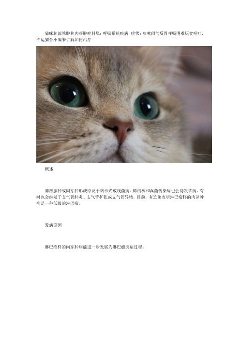 猫咪肺部脓肿和肉芽肿症状及治疗方法