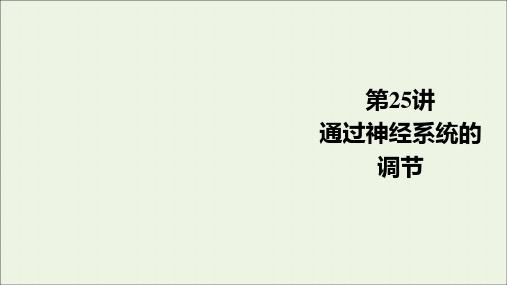 2021届高考生物一轮复习第8单元生命活动的调节第25讲通过神经系统的调节课件人教版必修3